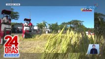Kapos na tubig sa mga palayan, problema ng ilang magsasaka; solar-powered irrigation system gaya sa Vietnam, plano ni PBBM | 24 Oras Weekend