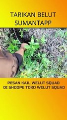 STRIKE BELUT MONSTER BIKIN PANIK  mancing