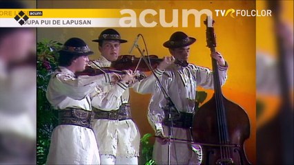 Grigore Lese - Dupa pui de lapusan (Tezaur folcloric - arhiva TVR - 1996)
