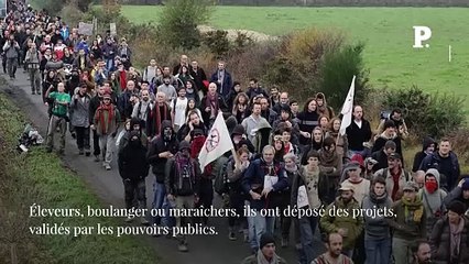 Notre-Dame-des-Landes : au secours, les zadistes reviennent