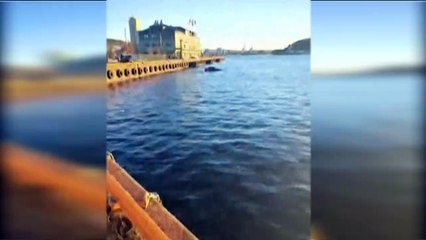 Tesla ile düştüler! Yüzen sauna ile kurtarıldılar...