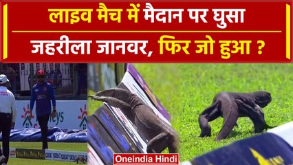 SL vs AFG: Monitor Lizard ने लाइव मैच में मैदान में घुसी, खिलाड़ियों के पसीने छूटे | वनइंडिया हिंदी