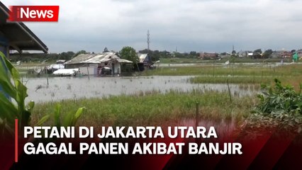 Sepuluh Hektar Sawah Terendam Banjir, Para Petani Alami Gagal Panen