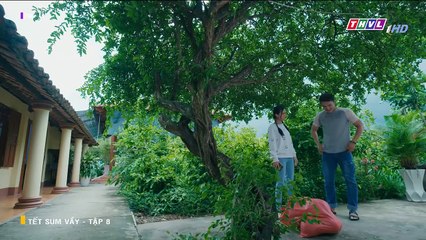 Tết Sum Vầy - Tập 8 - Phim Việt Nam THVL1 - Xem Phim Tet Sum Vay Tap 9