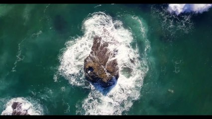 Nature Scene Advanced 4K Free Documentary - Part 1