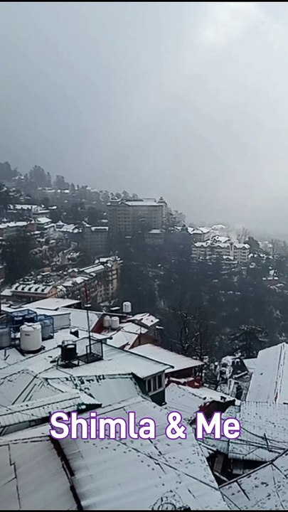Shimla & Me