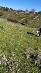 Guys Play With Pots And Firecracker