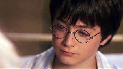 Harry Porter and the fucking wizard