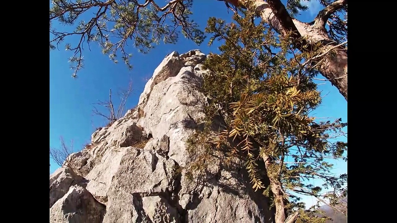 Schachstudie von Peter Krug aus dem Jahr 2008