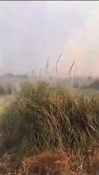 Incendio en Monte Hermoso