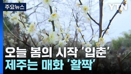 꽃마다 봄 향기 가득...제주는 매화 활짝 / YTN