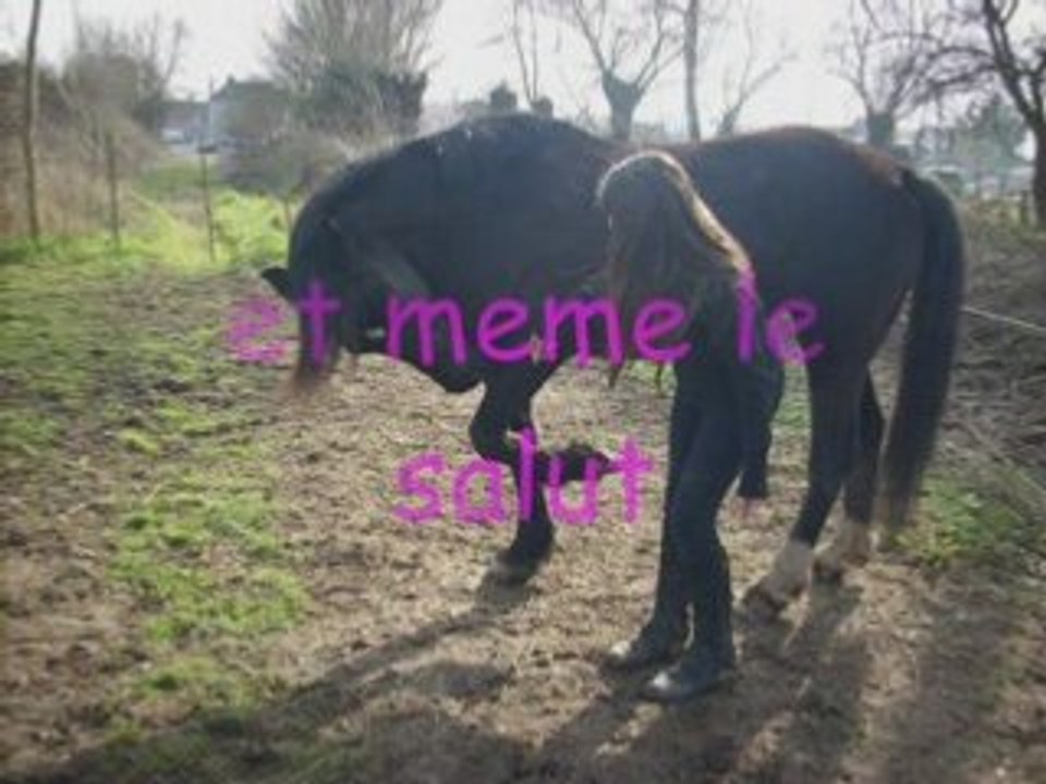 pour toi Fidjie
