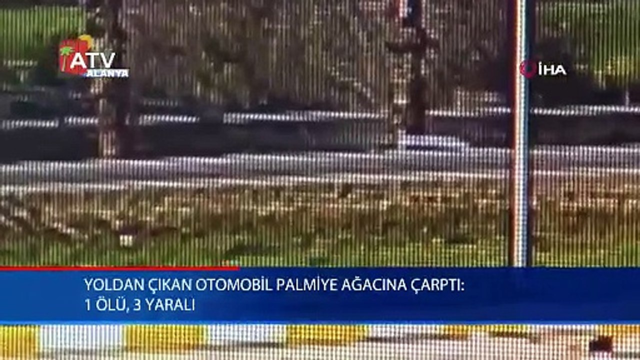 Yoldan çıkan otomobil palmiye ağacına çarptı: 1 ölü, 3 yaralı