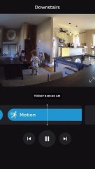 Dog Enjoys Toddler's Donut