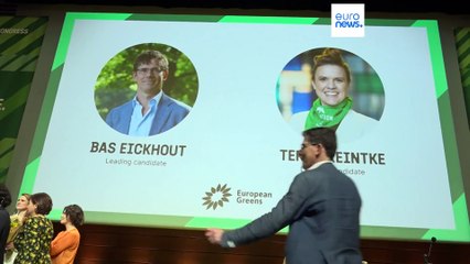 Greens congress choose veteran duo to take them to EU elections