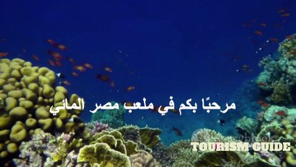 Discover Exciting Sports & Adventure Activities on Egypt's Red Sea Coast 🌊 - thumbnail