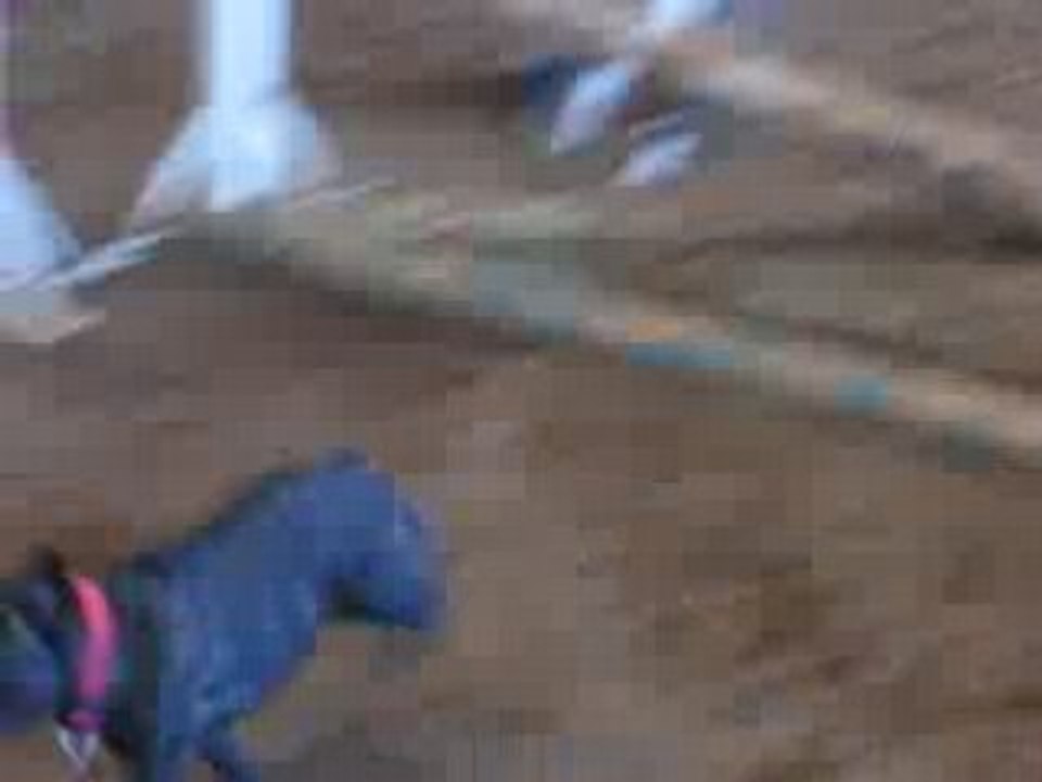 saut d'obstacle