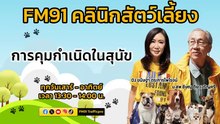 การคุมกำเนิดในสุนัข EP.1 : FM91 คลินิกสัตว์เลี้ยง : 3 กุมภาพันธ์ 2567