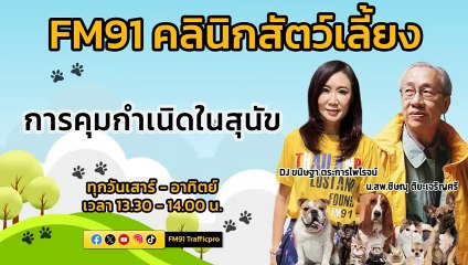 การคุมกำเนิดในสุนัข EP.1 : FM91 คลินิกสัตว์เลี้ยง : 3 กุมภาพันธ์ 2567