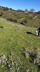 Guys Play With Pots And Firecrackers