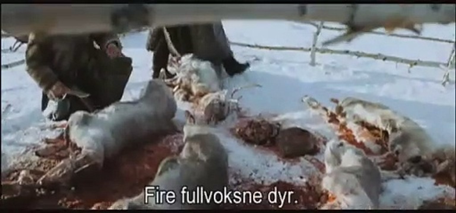 Die Rebellion von Kautokeino | movie | 2008 | Official Trailer