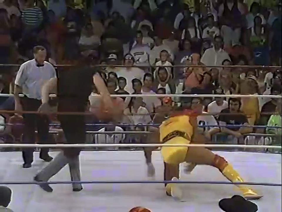 Hulk Hogan vs. Undertaker for the WWF Title