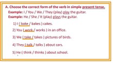 Practice Exercise 8 || Simple  Present Tense