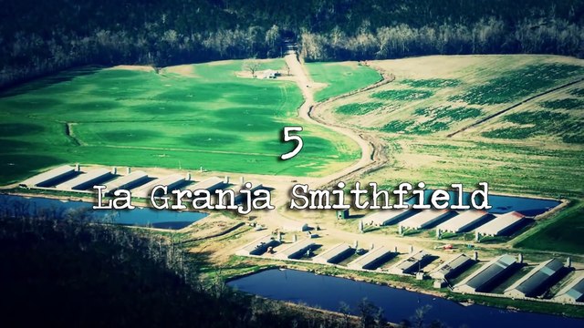 5 Cosas Aterradoras Captadas por un Drone