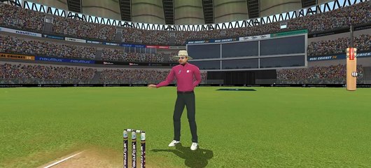 Amazing shot @real cricket 24