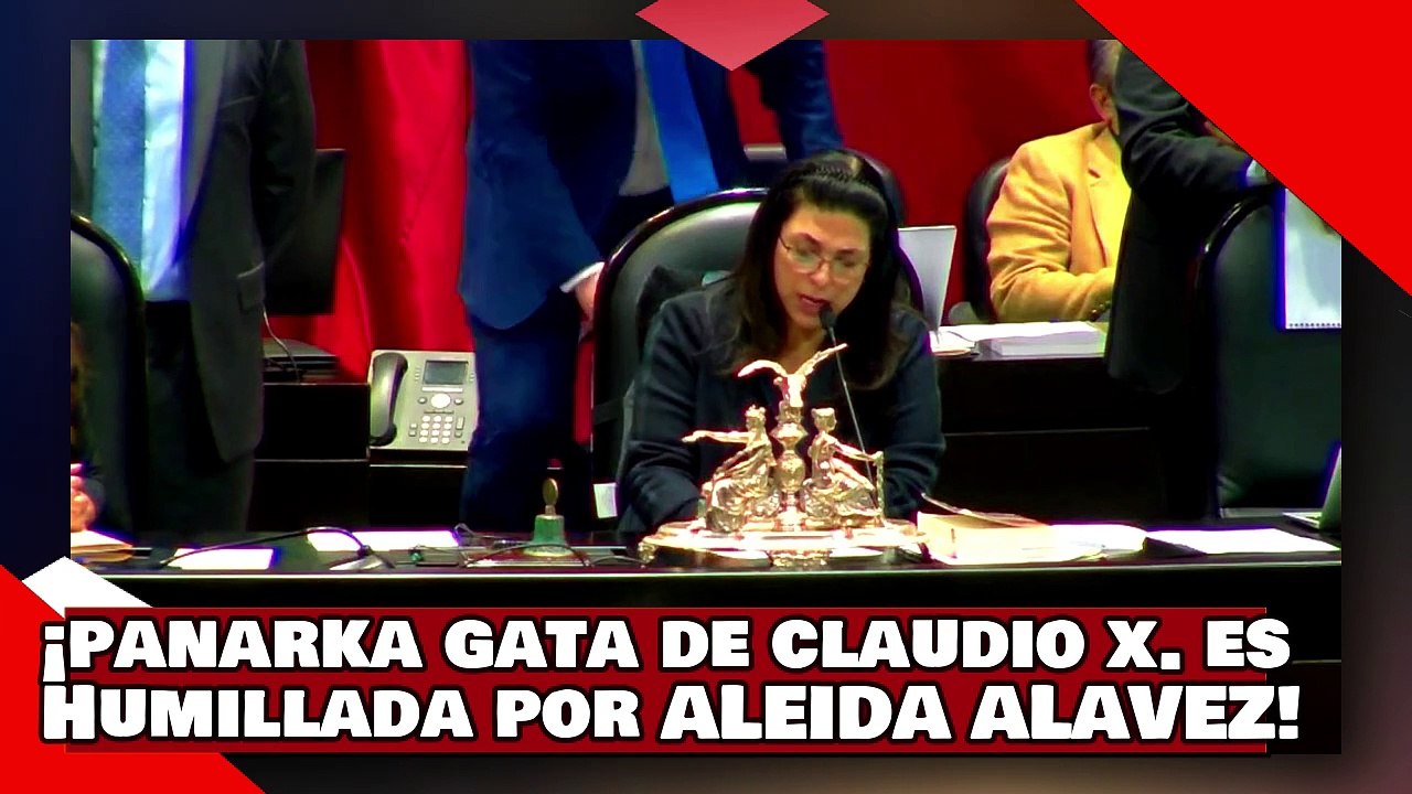 ¡VEAN! ¡’gata’ de Claudio X. es humillada por Aleida Alavez por atacar los logros del T-MEC de AMLO!