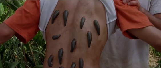 Bloodsucking Leeches | Anacondas 2