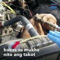 Asong naipit sa makina ng sasakyan, pinagtulungang i-rescue | GMA Integrated Newsfeed