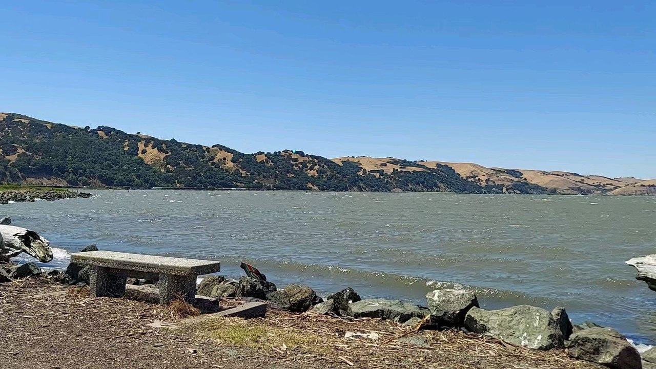 Windsurfing at the marina.
