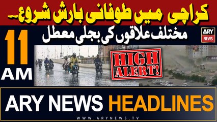 ARY News 11 AM Headlines 4th February 2024 |    ,   