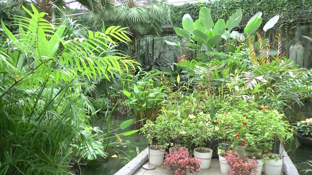 [날씨] 밤사이 전국 비·눈...강원 산간 많은 눈 / YTN