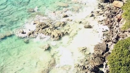 Surviving the Bermuda Triangle_ Real Stories Revealed