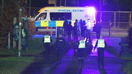 Fan Clash Erupts After Falkirk vs. The New Saints Match ⚽