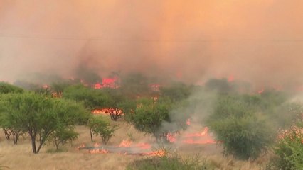칠레 산불 확산에 최소 46명 사망...중·남부 92건 발생 / YTN