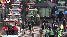 Protestano gli agricoltori, trattori e roghi in centro a Bruxelles