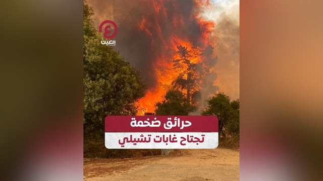 حرائق ضخمة تجتاح غابات تشيلي