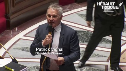 Loi Vignal, pour reconnaître les métiers de la médiation sociale