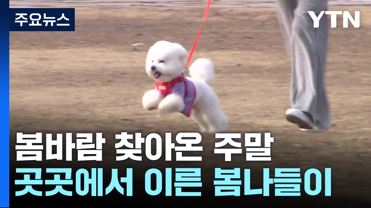 봄바람 찾아온 휴일...포근한 날씨에 도심 유원지 '북적' / YTN