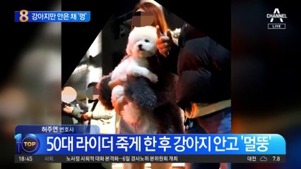 50대 라이더 죽게 한 후 강아지 안고 ‘멀뚱’