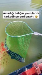 Avladığı balığın yavrularını fark edince geri bıraktı
