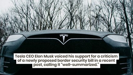 Elon Musk Highlights 'Well-Summarized' Criticism Of Proposed Border Security Bill