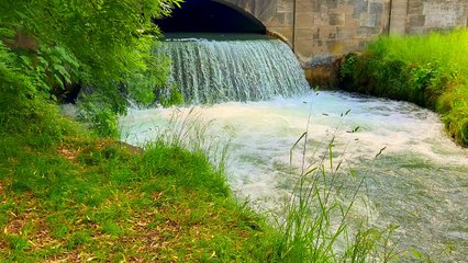 Pamela Storch - Waterfalls Musical Massage (Official 4K Music Video)