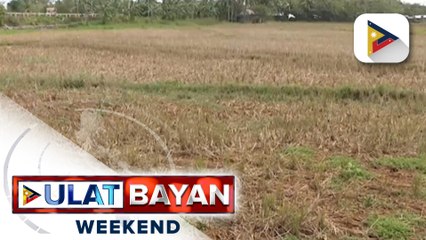Epekto ng El Niño, ramdam na sa walong lalawigan sa bansa