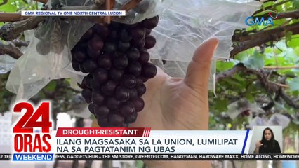 ILang magsasaka sa La Union, lumilipat na sa pagtatanim ng ubas | 24 Oras Weekend