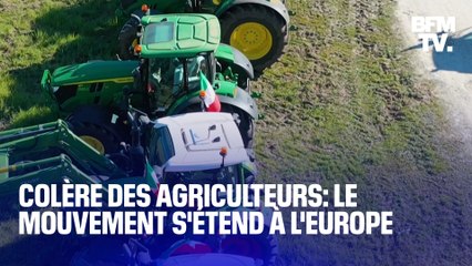 Grèce, Italie, Roumanie... Les images de la mobilisation des agriculteurs en Europe