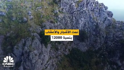 جزيرة "ريدوندا" في بحر الكاريبي تتحول إلى محمية للحياة البرية